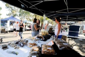 Make it to market
