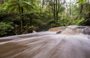 Mount Evelyn in a day