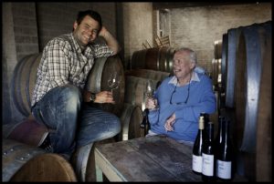 Seville Estate a great Companion