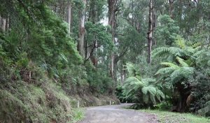 Along the Acheron Way