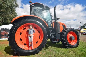 Farm festival a field day