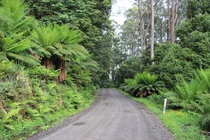 The long way round