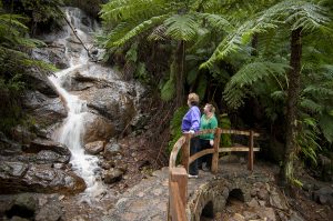A day in Warburton
