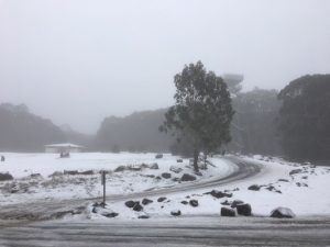 Let it snow