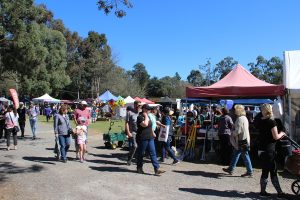 Field Days’ 50 fantastic years