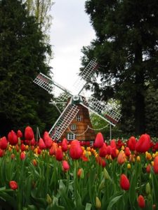 Rainbow fields in spring tradition