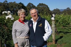 Q&A with Wally Zuk