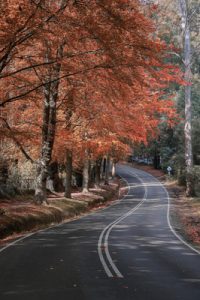 Rejuvenate with a roadtrip