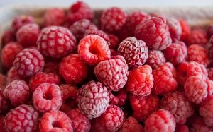Berries ripe for the picking