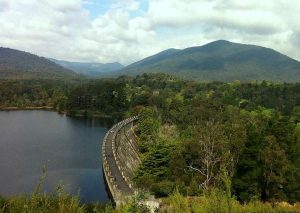 Explore the historic Lower Yarra Valley