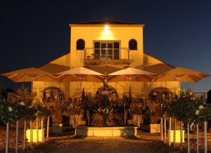 Q&A with Tokar Estate’s Daniel Tokar