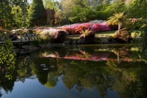 Get away to a garden