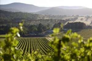 Best wines for the spring