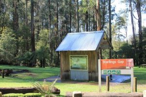 Camping getaways in the Yarra and Dandenong Ranges
