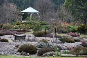 Get a spring garden feel in Sassafras