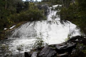 A rainy day timetable in the Yarra Ranges