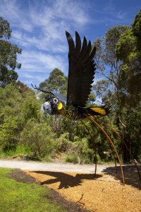 Cool summer fun at Healesville Sanctuary