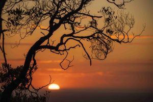 Capturing summer through a lens