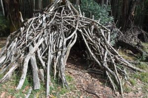 Use your playful imagination in dragon’s nests