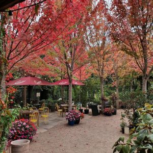 A garden for all seasons