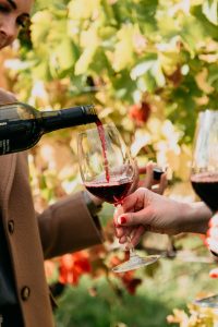 Dive into the magic of Rochford Wines
