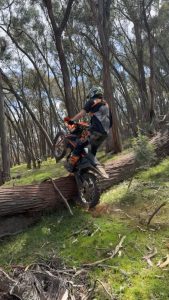 Take on trail biking in the Yarra Ranges
