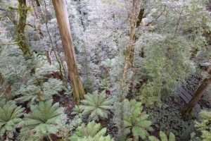 The natural wonders of Warby