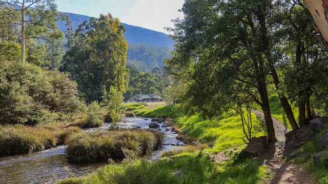 In Pictures: The beauty of the Upper Yarra