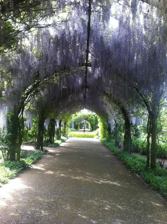 Glorious spring gardens in bloom